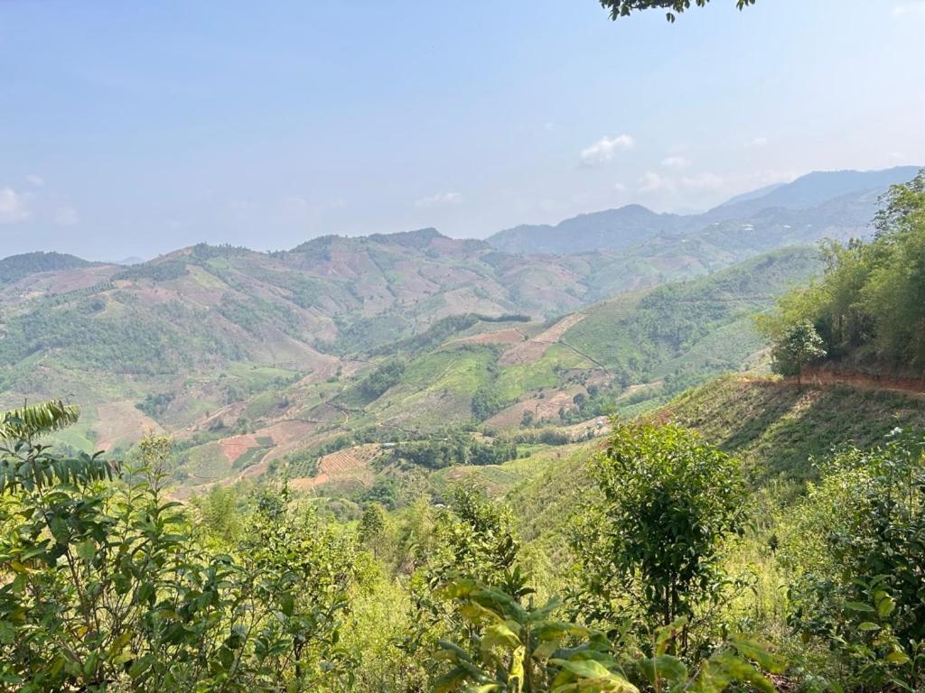 Ban Huai Khai My Story Doichang Chiangrai מראה חיצוני תמונה
