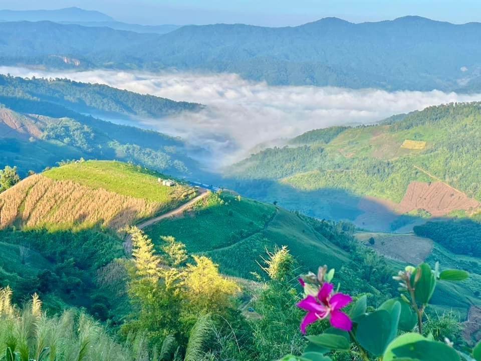 Ban Huai Khai My Story Doichang Chiangrai מראה חיצוני תמונה
